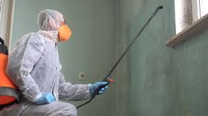 Professional Mold Removal Services in Eagle, WI